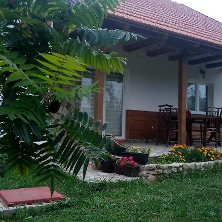 Nektar Park Villa Sara Bihać Kültér fotó
