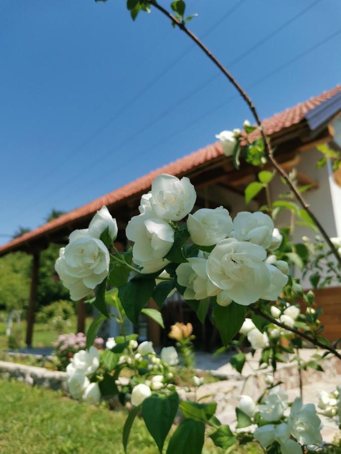 Nektar Park Villa Sara Bihać Kültér fotó