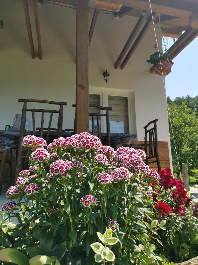 Nektar Park Villa Sara Bihać Kültér fotó