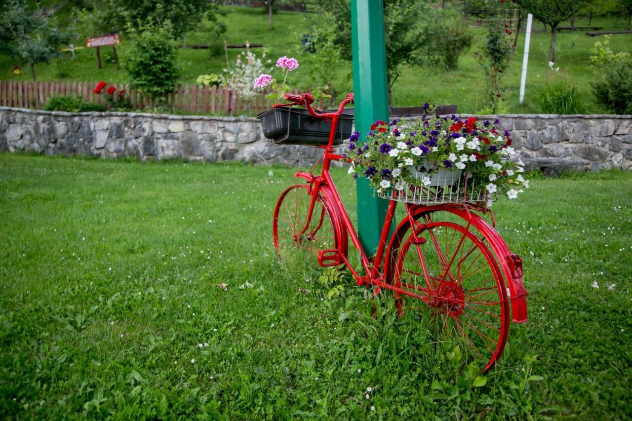 Nektar Park Villa Sara Bihać Kültér fotó