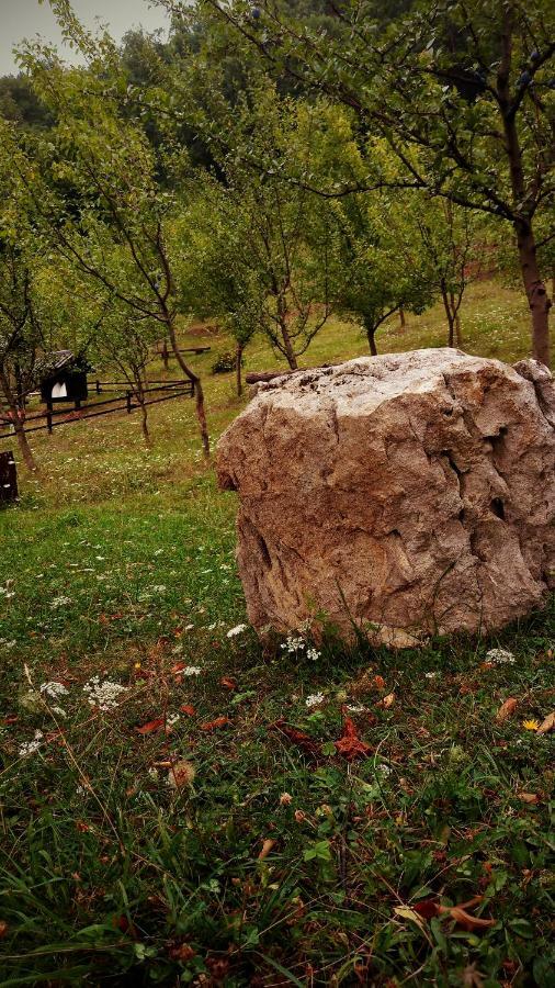 Nektar Park Villa Sara Bihać Kültér fotó